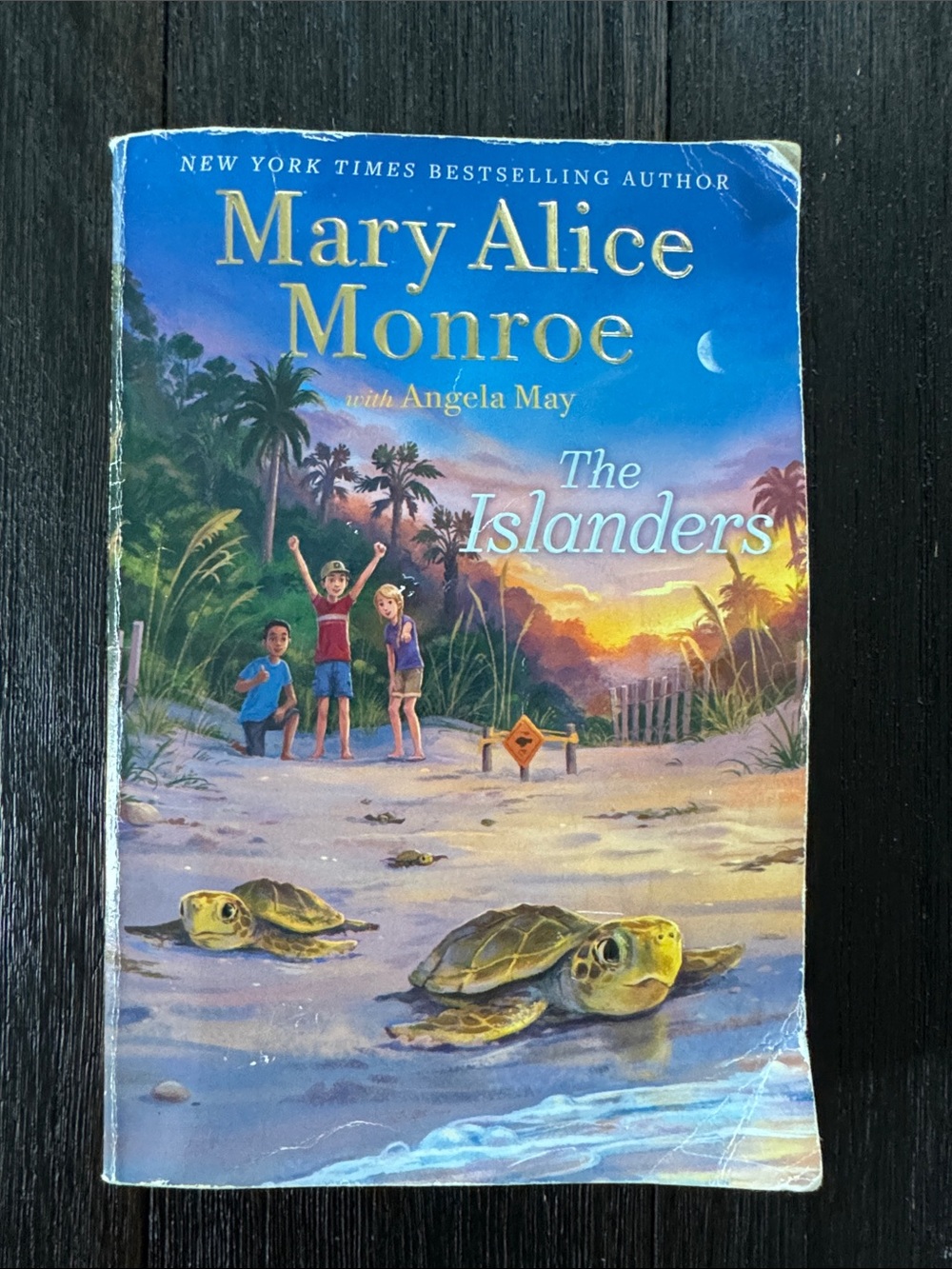Mary Alice Monroe The Islanders — Beach Turtle Paperback